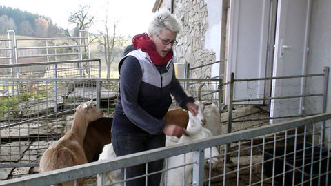 Hra na zelenou - Biofarma ve Slunečné