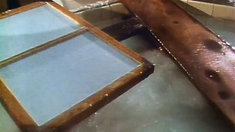 Za svědky minulosti - Kolik váží jediný list