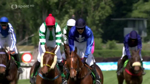 Velká pardubická - Před Velkou pardubickou