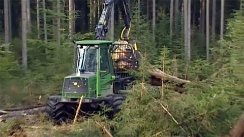 Nedej se! - Zachraňte Šumavu