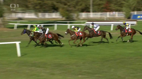 Velká pardubická - 128. Velká pardubická s Českou pojišťovnou