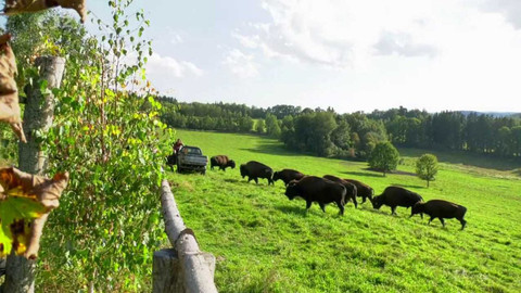 Cyklotoulky - Rožmberk nad Vltavou