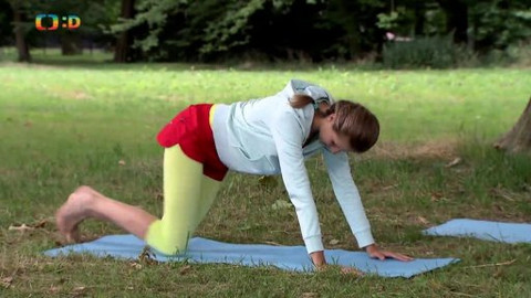 Jogínci v přírodě - Ztracený pejsek