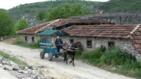 Nedej se! - Arnika v Moldavsku