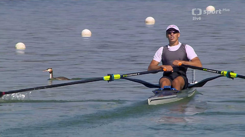 MS ve veslování 2026 Nizozemsko - Semifinále a finále A