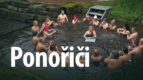 Ponořiči