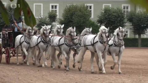 Gejzír - 4. listopadu 2021