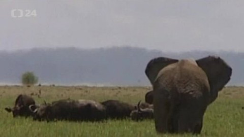 Horizont ČT24 - 31. března 2014