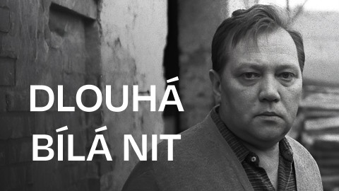 Dlouhá bílá nit