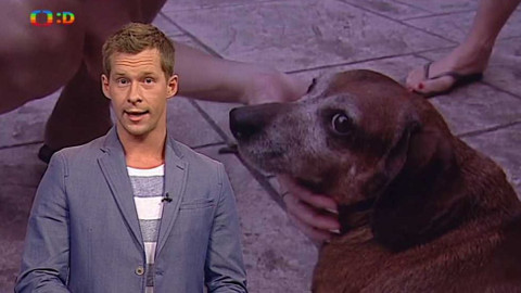 Zprávičky - 6. září 2015