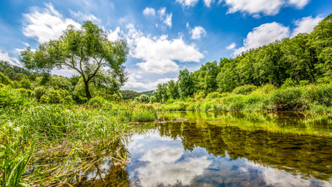 Krajinou domova - 12/13 Luhy a háje