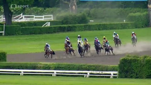 Turf - 28. května 2013