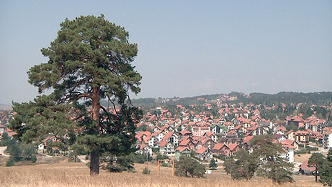 Na cestě - Na cestě po Zlatiboru