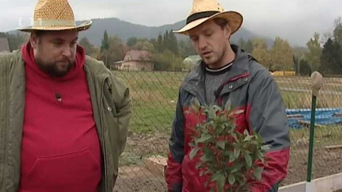 Zahrada je hra - 29. listopadu 2007