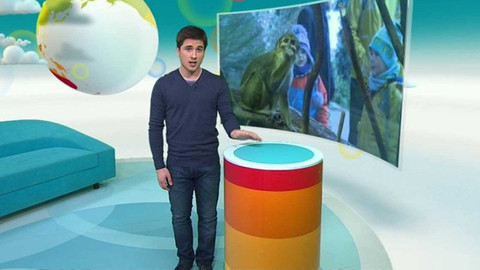 Zprávičky - 28. prosince 2016