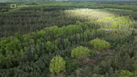 Do divočiny! - 14. O zastávku dřív 1