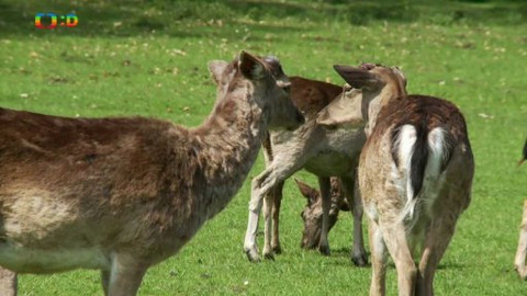 Novinky z přírody - Epizoda 10/53