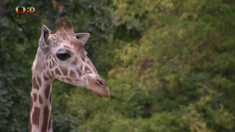 Terčin zvířecí svět - 10. prosince 2021