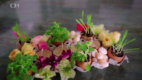 Všechno, co mám ráda - Epizoda 58/45