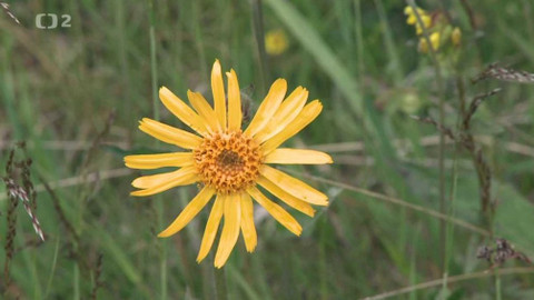 Novinky z přírody - Epizoda 22/53