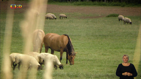 Čtení do ouška - Obuchu, hýbej se