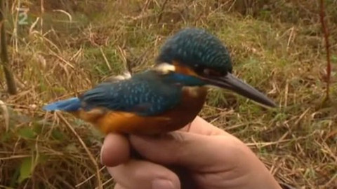 Přidej se - Chránit či nechránit?