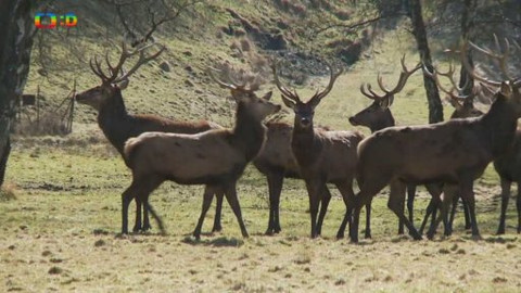 Novinky z přírody - Epizoda 2/53