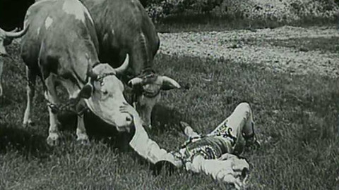 Hledání ztraceného času - Převážně nevážně