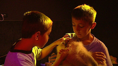 Zprávičky - 18. ledna 2013