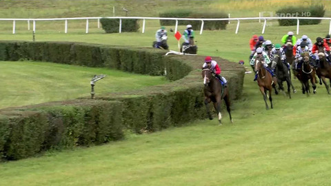 Dostihy - Cena zimního favorita