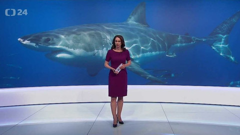 Horizont ČT24 - 8. června 2017