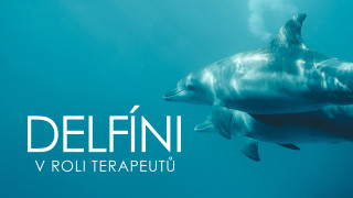 Delfíni v roli terapeutů
