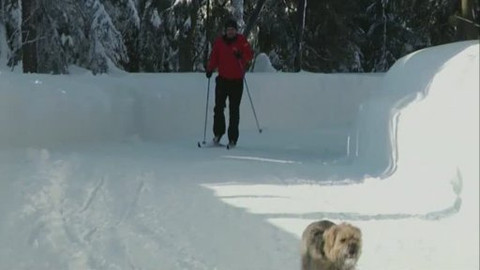Běžkotoulky - Kořenov a Albrechtice v Jizerských Horách