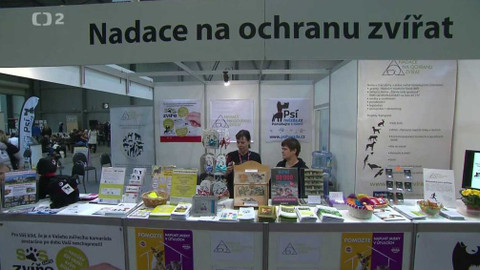 Nedej se! - SOS zvíře