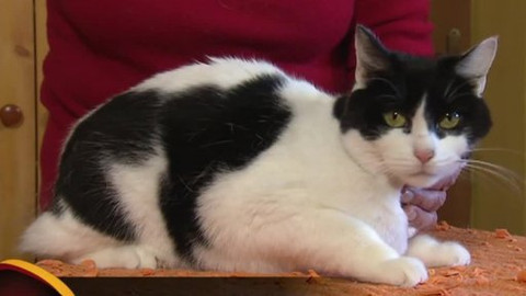 Chcete mě? - Chcete je?