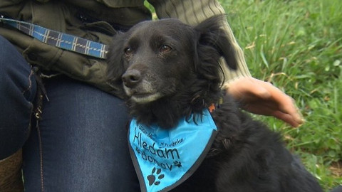 Chcete mě? - Chcete je?