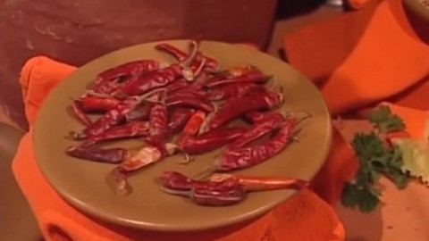 Dětská encyklopedie světa - 8/21 Koření