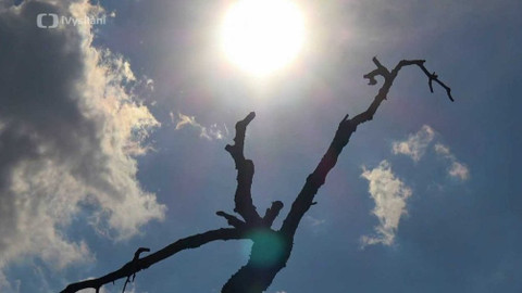 Kapka vody - Dlažby a úprava povrchů