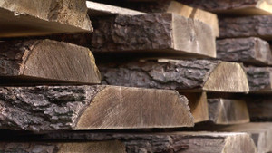 Obrázek pořadu Cesta dřeva