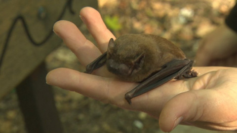 Chcete mě? - 29. září 2019