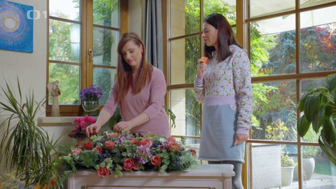 Všechno, co mám ráda - Epizoda 181/47