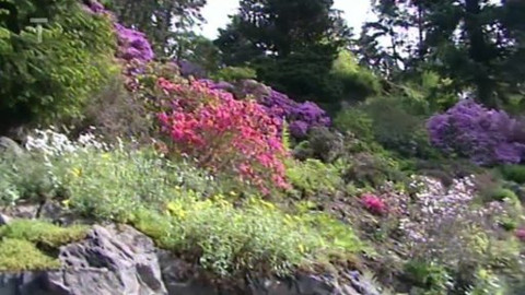 Toulavá kamera - 27. května 2012