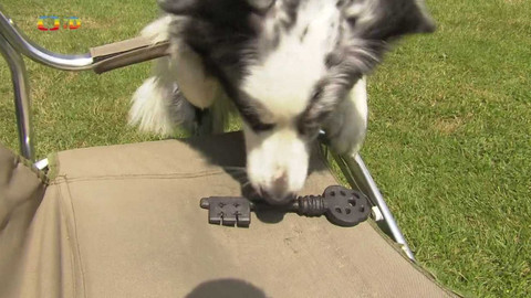 Zprávičky - 19. června 2023