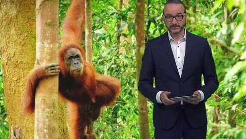 Horizont ČT24 - 27. června 2021