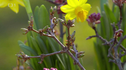 Polopatě - 22. března