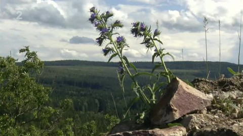 Přidej se - Vojáci odcházejí z Brd I.