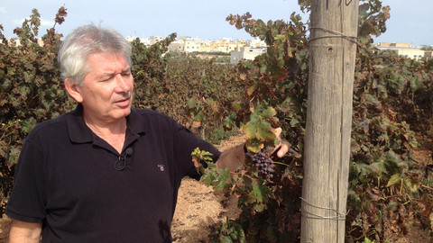 Postřehy odjinud - Malta očima Petra Voldána