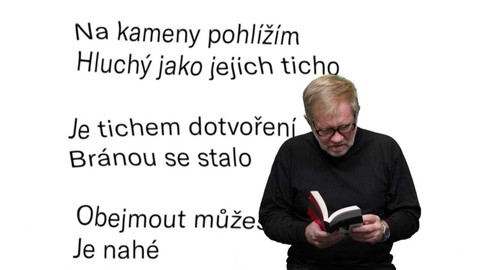 Jedna báseň - Tašo Andjelkovski