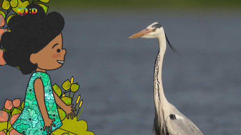 Velká kniha o zvířátkách - Epizoda 42/52