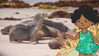 Velká kniha o zvířátkách II